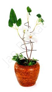 Product for the garden 1452