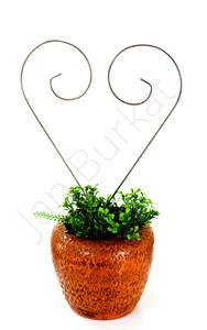 Product for the garden 1454