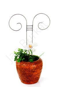 Product for the garden 1455