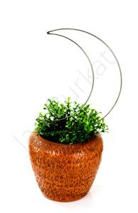 Product for the garden 1456