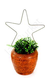 Product for the garden 1457